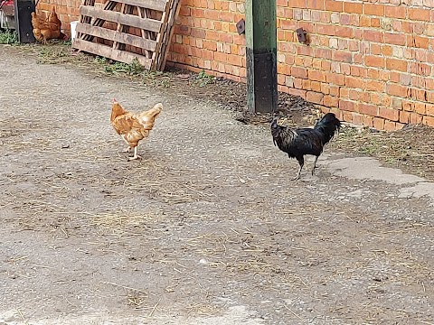 Lancaster Farm Shop