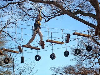 High Ropes Oxford