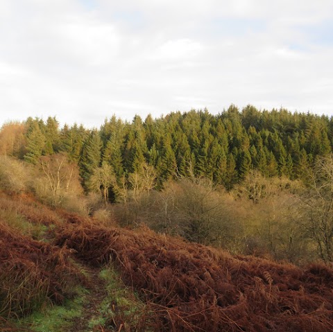 Linhouse Glen