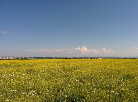 Садове товариство "Пролісок"