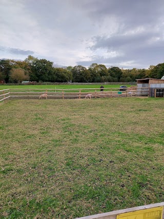 Willaston Community Farm