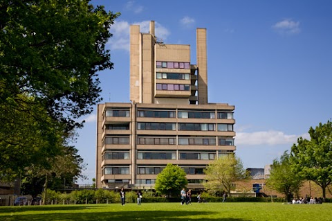 Centre for International Training and Education