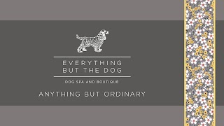 Everything But The Dog Limited