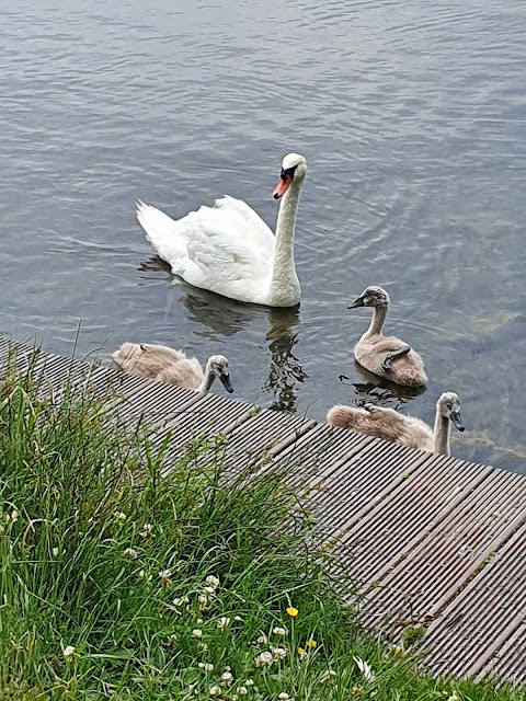 Cosmeston Lakes Country Park & Medieval Village