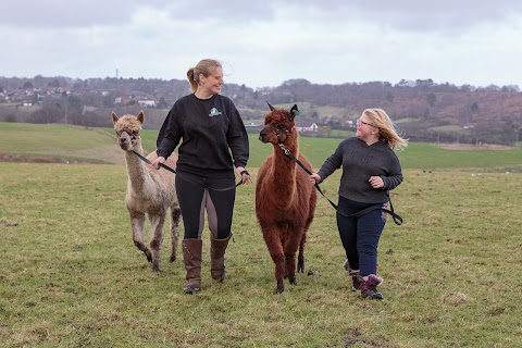 Burntwood Alpaca & Animal Experience