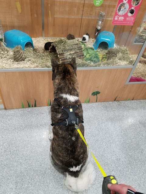 Pets at Home Huddersfield