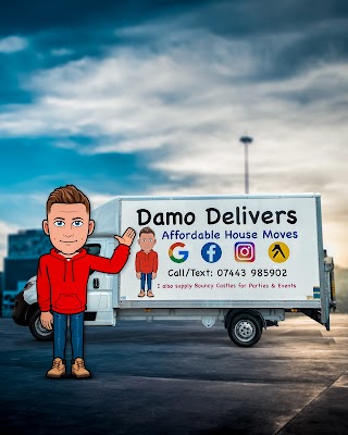 Damo Delivers