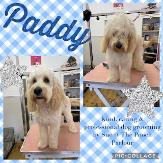 The Pooch Parlour