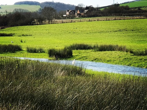 Carisbrooke Water Meadows