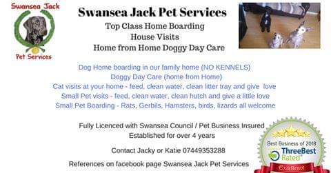 Swansea Jack Pet Services