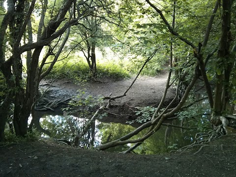 Holmebrook Park