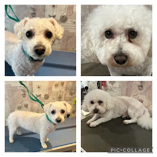 Woofs & Whiskers Dog groomers