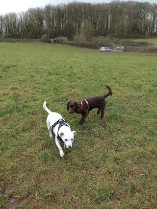 Walkies at Wixenford