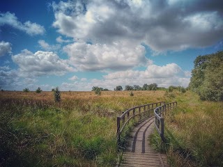 Wetley Moor Common