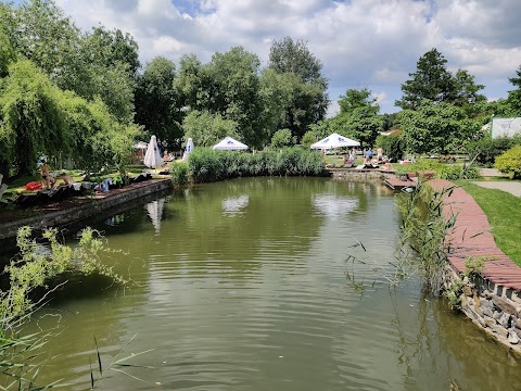 заміський комплекс BUTTERFLY SPA-HOTEL