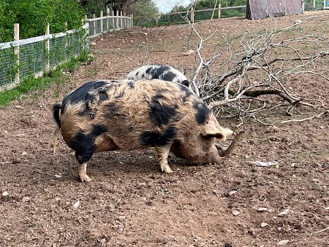 Secret Valley Wildlife Park