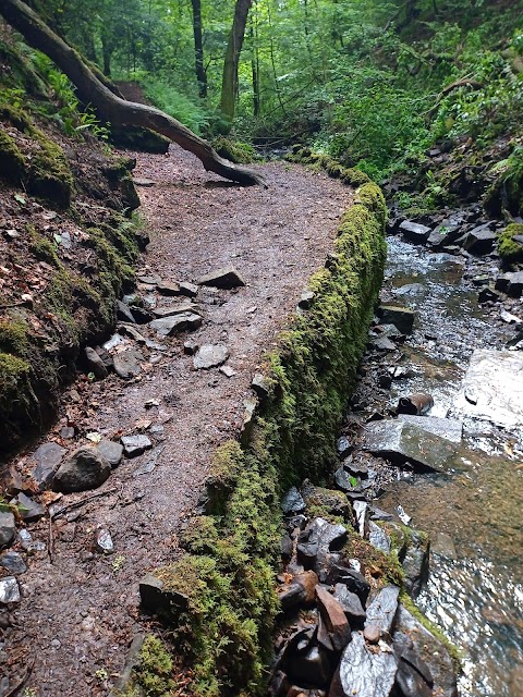 Longford Waterfall | Y Cwm