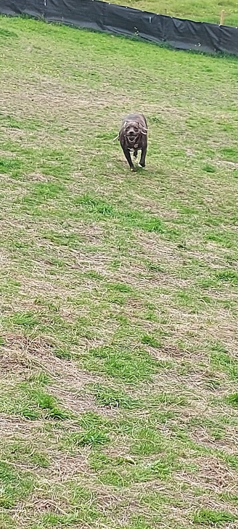 Rivelin Valley Dog Park