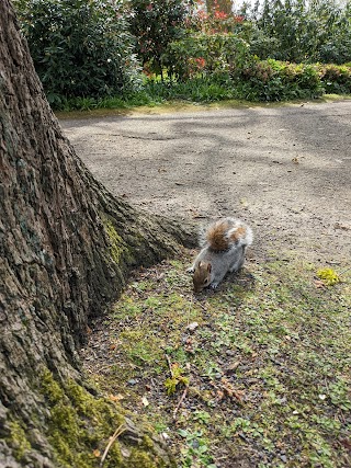 Friends of Fairy Hill Park