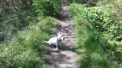 Coppice Boarding Kennels & Cattery