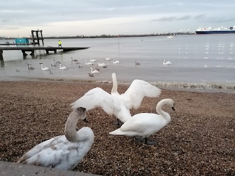 Riverside Leisure Area