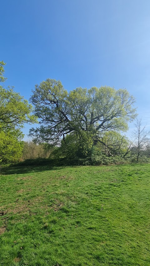 Bedfords Park Deer Enclosure