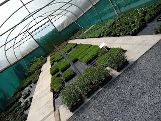 Byrne Nurseries