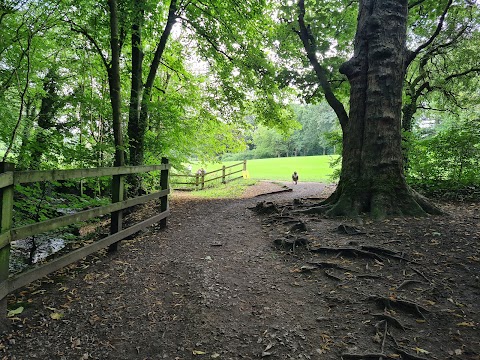 Astley Park