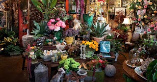 Flower shop by Anita