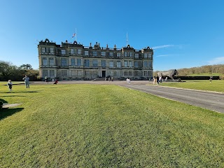 Longleat Hedge Maze