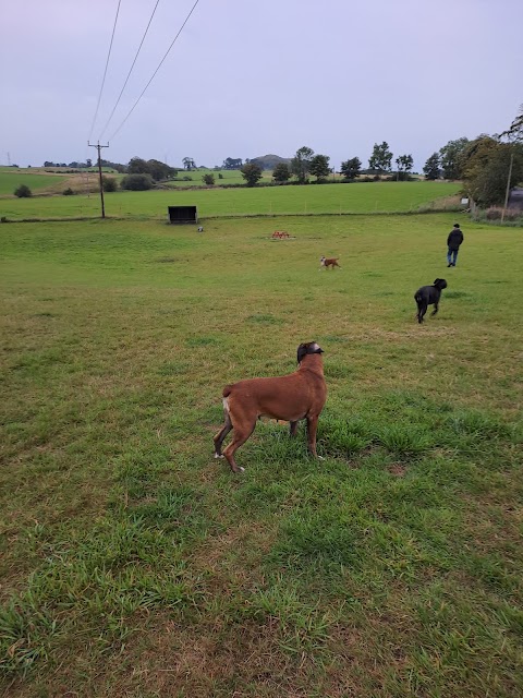 Off The Lead Dog Park