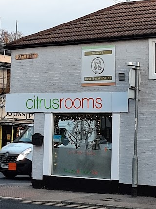 Citrus Rooms