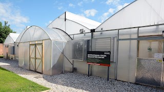 International Cocoa Quarantine Centre