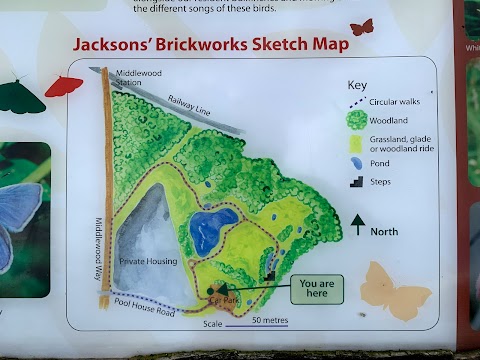 Jacksons Brickworks Local Nature Reserve