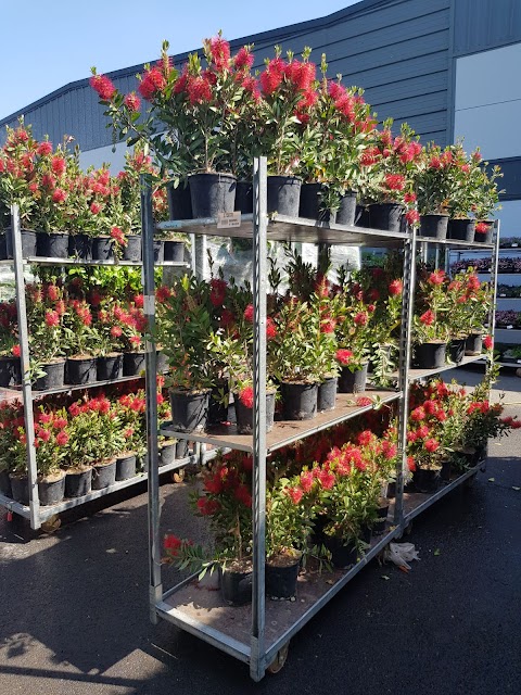 Birmingham Landscape Plants And Flowers Limited