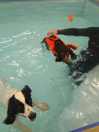 K9 Spa Hydrotherapy Centre