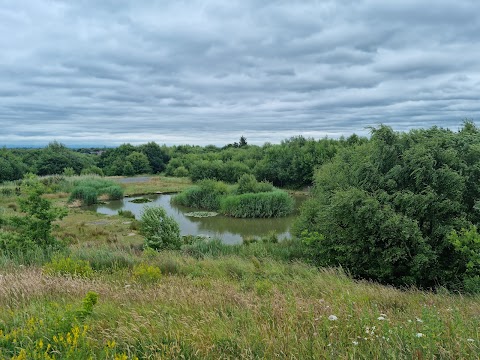 Lyme and Wood Country Park