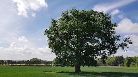 Basepoint - Romsey, Abbey Park