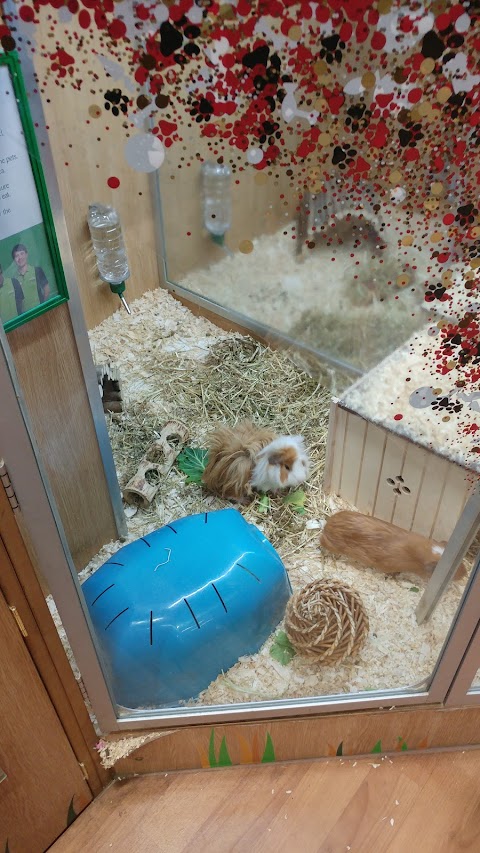 Pets at Home Cardiff Ty Glas