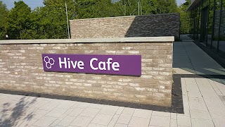 Hive Cafe