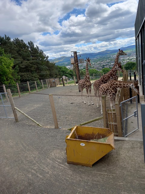 Grasslands Restaurant, Edinburgh Zoo