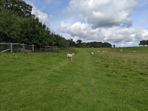 National Trust - Dinefwr