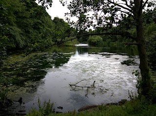 Blackford Hill and Pond