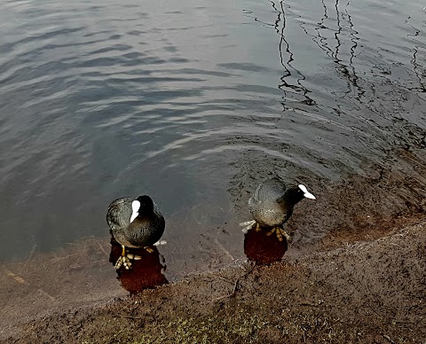 Lochend Park