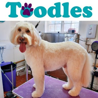 Toodles Dog Grooming Salon & Boutique