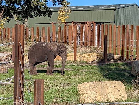 West Midland Safari Park