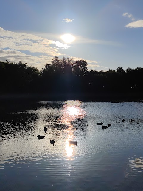 Oak Road Playing Fields