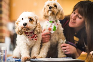 Orchard Veterinary Surgery