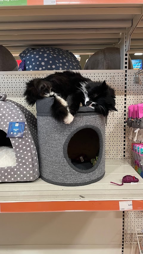 Pets at Home Watford