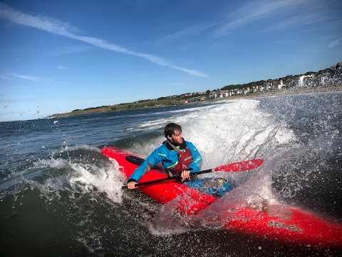 Driftwood Adventure